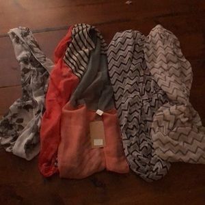 Scarves set of 4